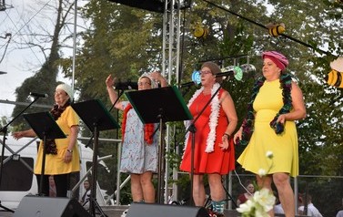 Festiwal Miodu i Kultury Ludowej w Jelnej - 01.08.2021 r  18