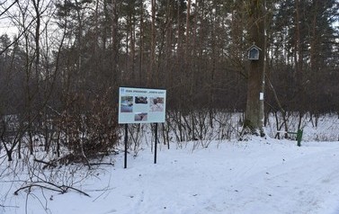 Otwarcie Szlaku Spacerowego Kobyle G&oacute;ry - 30.12.2021 r. 10