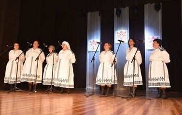 Przegląd fot. J. Motyka (99)