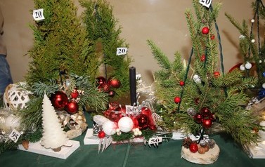 IMG_2079
