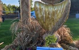 IMG_20260823_180931