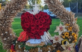 IMG_20260823_180744