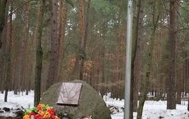 321380438_560060092243586_7330787579690270814_n