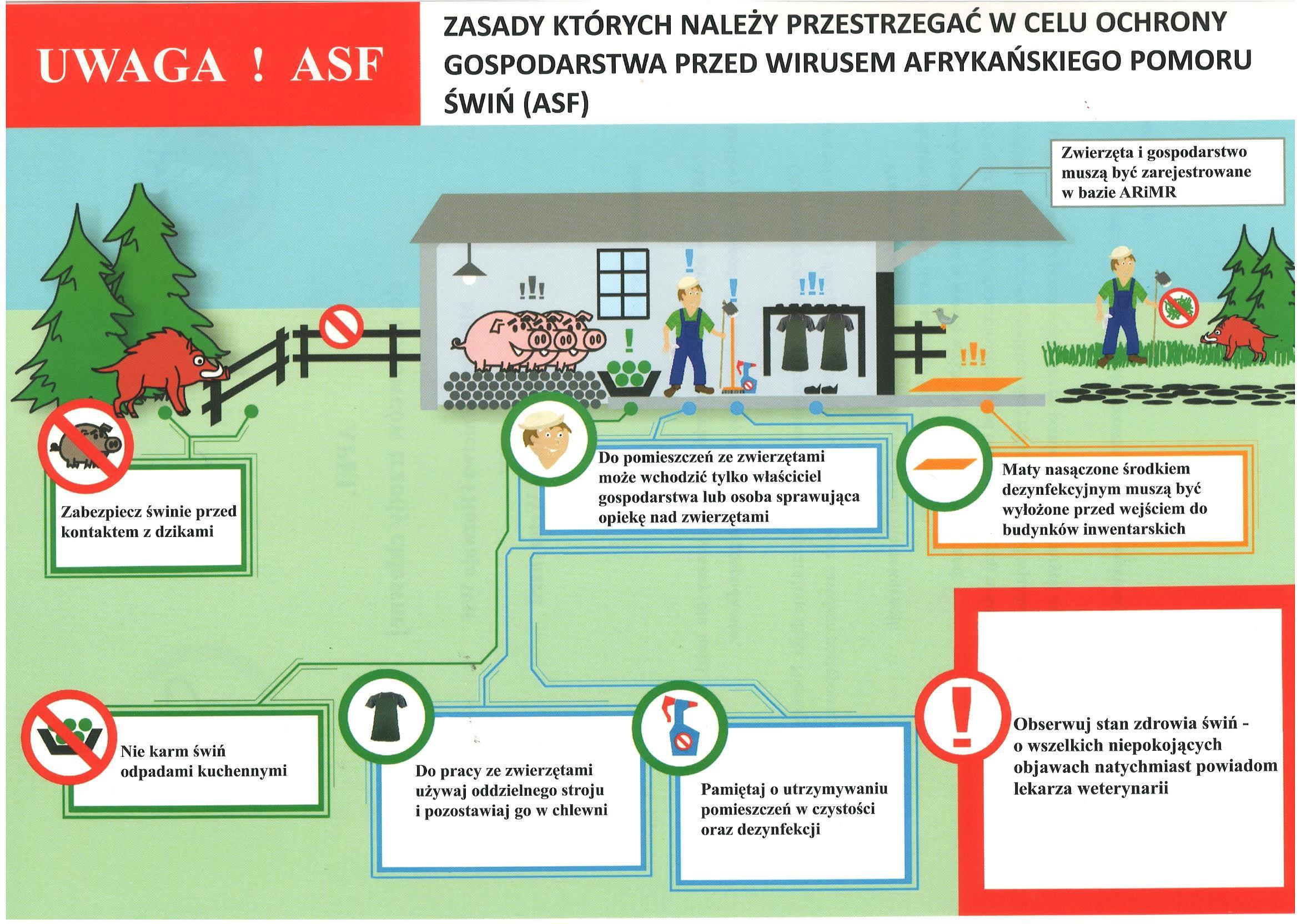 grafika przedstawiająca zasady bioasekuracji w&nbsp;gospodarstwach hodujących trzodę chlewną: nie kupujcie świń z&nbsp;niewiadomego źr&oacute;dła pochodzenia, utrzymujcie świnie w&nbsp;spos&oacute;b wykluczający kontakt z&nbsp;dzikami, stosujcie tylko pasze zabezpieczone przed dostępem zwierząt wolno żyjących, wył&oacute;żcie maty nasączone środkiem dezynfekcyjnym przed wjazdami i&nbsp;wyjazdami z&nbsp;gospodarstw oraz&nbsp;przed wejściami do pomieszczeń, w&nbsp;kt&oacute;rych utrzymywane są świnie.
