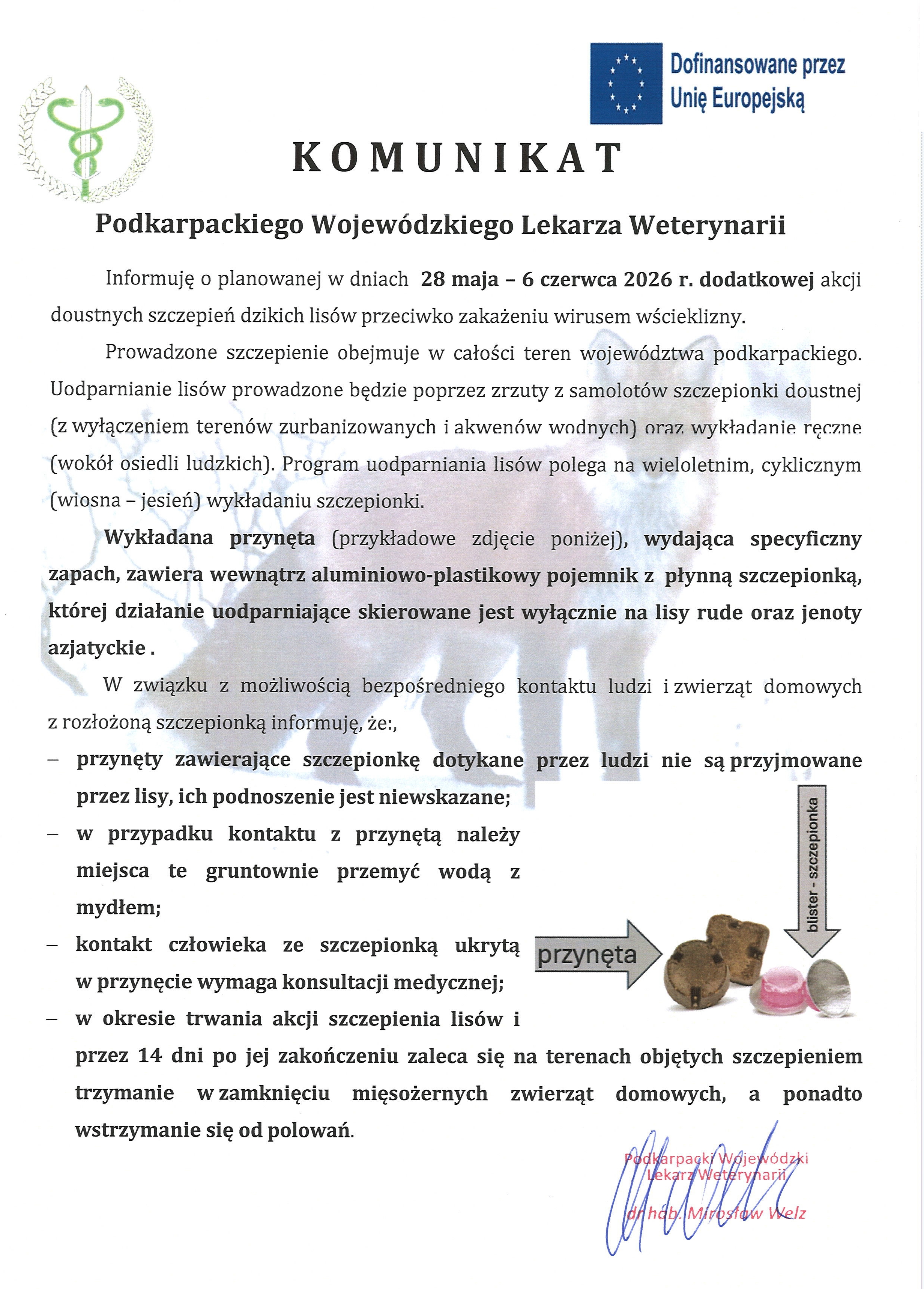Komunikat Podkarpackiego Wojew&oacute;dzkiego Lekarza Weterynarii dotyczący dodatkowej akcji szczepień lis&oacute;w wolno żyjących przeciwko wściekliźnie.  Dokument zawiera następujące informacje:  Nagł&oacute;wek: KOMUNIKAT Podkarpackiego Wojew&oacute;dzkiego Lekarza Weterynarii. W lewym g&oacute;rnym rogu logo Inspekcji Weterynaryjnej (zielony wąż opleciony wok&oacute;ł laski Esulapa w&nbsp;laurze), w&nbsp;prawym g&oacute;rnym rogu logo UE z&nbsp;napisem &bdquo;Dofinansowane przez Unię Europejską&rdquo;.  Treść komunikatu:  Termin akcji: od 28 maja do 6 czerwca 2026 r.  Cel: dodatkowa akcja doustnych szczepień dzikich lis&oacute;w przeciwko wściekliźnie.  Zasięg: cały teren wojew&oacute;dztwa podkarpackiego.  Metoda: zrzuty z&nbsp;samolot&oacute;w (poza terenami zurbanizowanymi i&nbsp;akwenami wodnymi) oraz&nbsp;wykładanie ręczne (wok&oacute;ł osiedli ludzkich). Program ma charakter wieloletni i&nbsp;cykliczny (wiosna &ndash; jesień).  Opis przynęty:  Przynęta (pokazana na&nbsp;zdjęciu w&nbsp;dolnym rogu) ma specyficzny zapach.  Wewnątrz zawiera aluminiowo-plastikowy pojemnik z&nbsp;płynną szczepionką (blister).  Działanie szczepionki skierowane jest wyłącznie na&nbsp;lisy rude i&nbsp;jenoty azjatyckie.  Zalecenia dla ludności:  Nie dotykać szczepionki! Lisy nie przyjmują przynęt dotykanych przez ludzi, a&nbsp;ich podnoszenie jest niewskazane.  W przypadku kontaktu ze szczepionką: dokładnie przemyć zanieczyszczone miejsca wodą z&nbsp;mydłem.  Każdy kontakt człowieka ze szczepionką ukrytą w&nbsp;przynęcie wymaga konsultacji medycznej.  Dla właścicieli zwierząt: w&nbsp;okresie trwania akcji i&nbsp;przez 14 dni po jej zakończeniu należy trzymać w&nbsp;zamknięciu mięsożerne zwierzęta domowe na&nbsp;terenach objętych szczepieniem.  Wstrzymanie się od polowań.  Elementy graficzne: W tle tekstu widać słabo widoczny zarys liskiego pyska. W prawym dolnym rogu znajduje się małe zdjęcie przedstawiające przynęty w&nbsp;postaci ciemnobrązowych krążk&oacute;w oraz&nbsp;otwarty blister ze szczepionką. Grafika zawiera strzałki i&nbsp;opisy wskazujące na&nbsp;przynętę i&nbsp;blister ze szczepionką.  Podpis: W prawym dolnym rogu znajduje się pieczątka &bdquo;Podkarpacki Wojew&oacute;dzki Lekarz Weterynarii dr hab. Mirosław Welz&rdquo; oraz&nbsp;odręczny podpis.