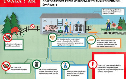 Zdjęcie do Apel Ministra Rolnictwa i Gł&oacute;wnego Lekarza Weterynarii