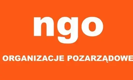 gradfika przedstawia biały napis NGO organizacje pozarządowe na pomarańczowym tle