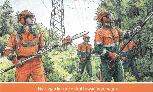 Zdjęcie artykułu z dnia 14-05-2026