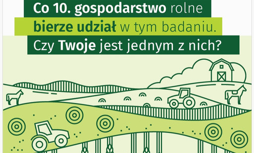 grafika poglądowa ilustrująca badanie GUS