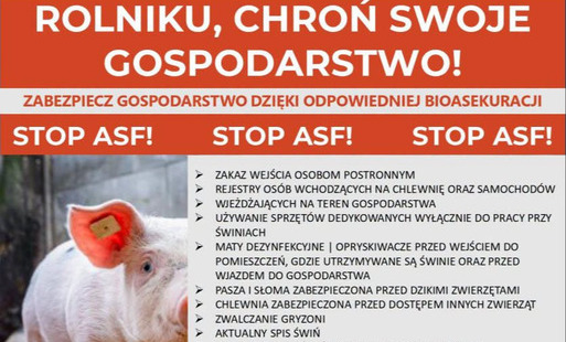 Plakat informacyjny Wojewódzkiego Inspektoratu Weterynarii z/s w Krośnie dotyczący bioasekuracji i profilaktyki ASF. Na plakacie widnieje zdjęcie małej świni oraz lista zasad i zaleceń dla rolników chroniących gospodarstwa przed wirusem.