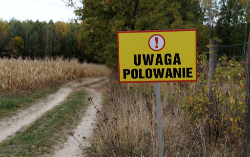 Informacja o planowanych polowaniach zbiorowych w okresie 2026/27 - KŁ TM im. św. Huberta