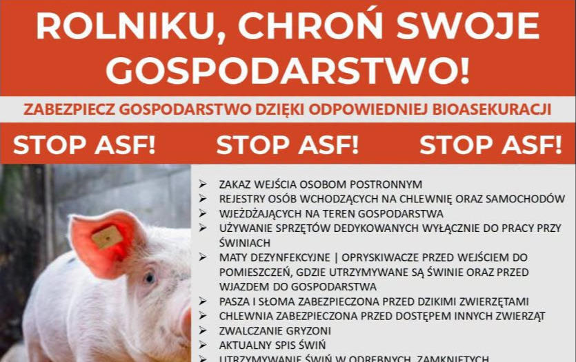 Zdjęcie artykułu z dnia 25-09-2026